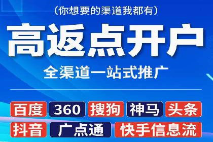 百度竞价广告投放策略：案例分析及优化建议