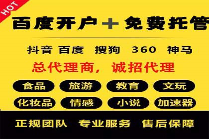 某电商平台的SEM推广策略分析
